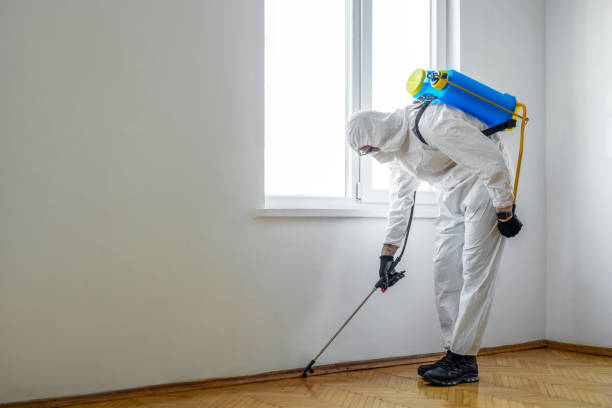Best Bed Bug Extermination  in Winthrop, MN
