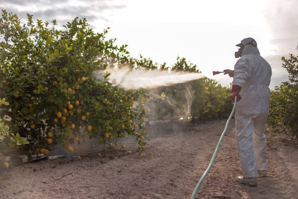 Best Cockroach Control Services  in Winthrop, MN
