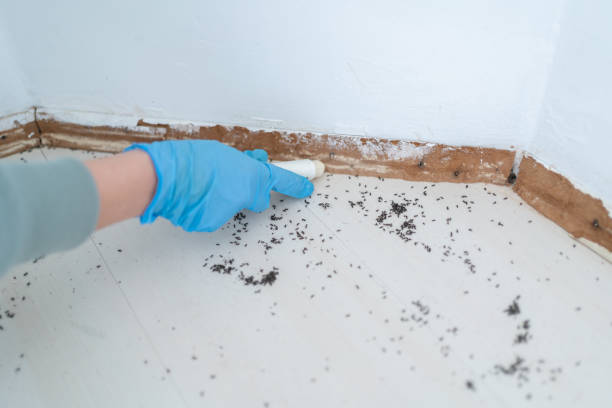 Best Emergency Pest Control  in Winthrop, MN